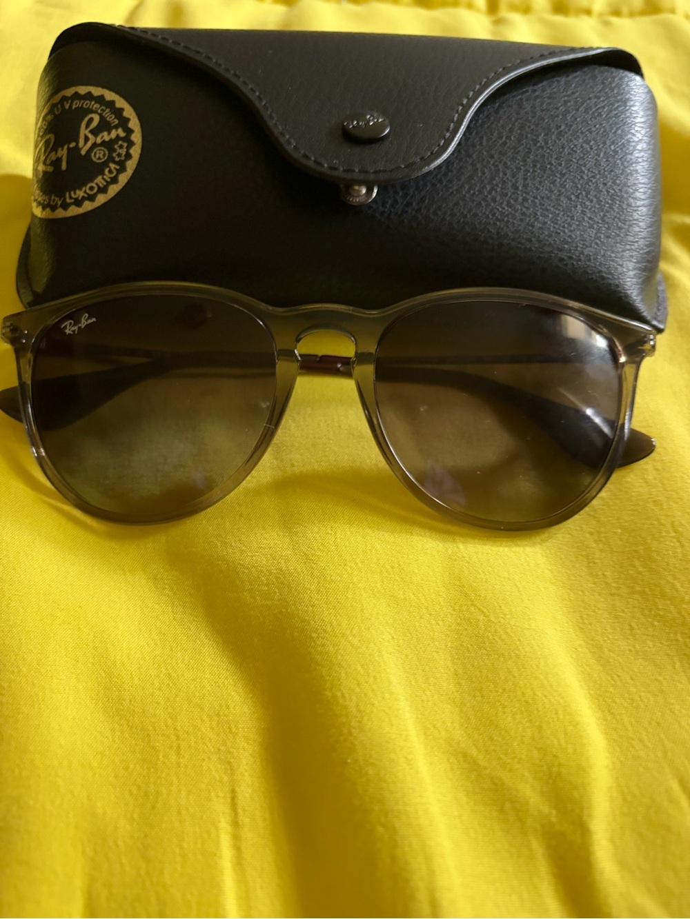 Ray-Ban Women Erika Sunglasses